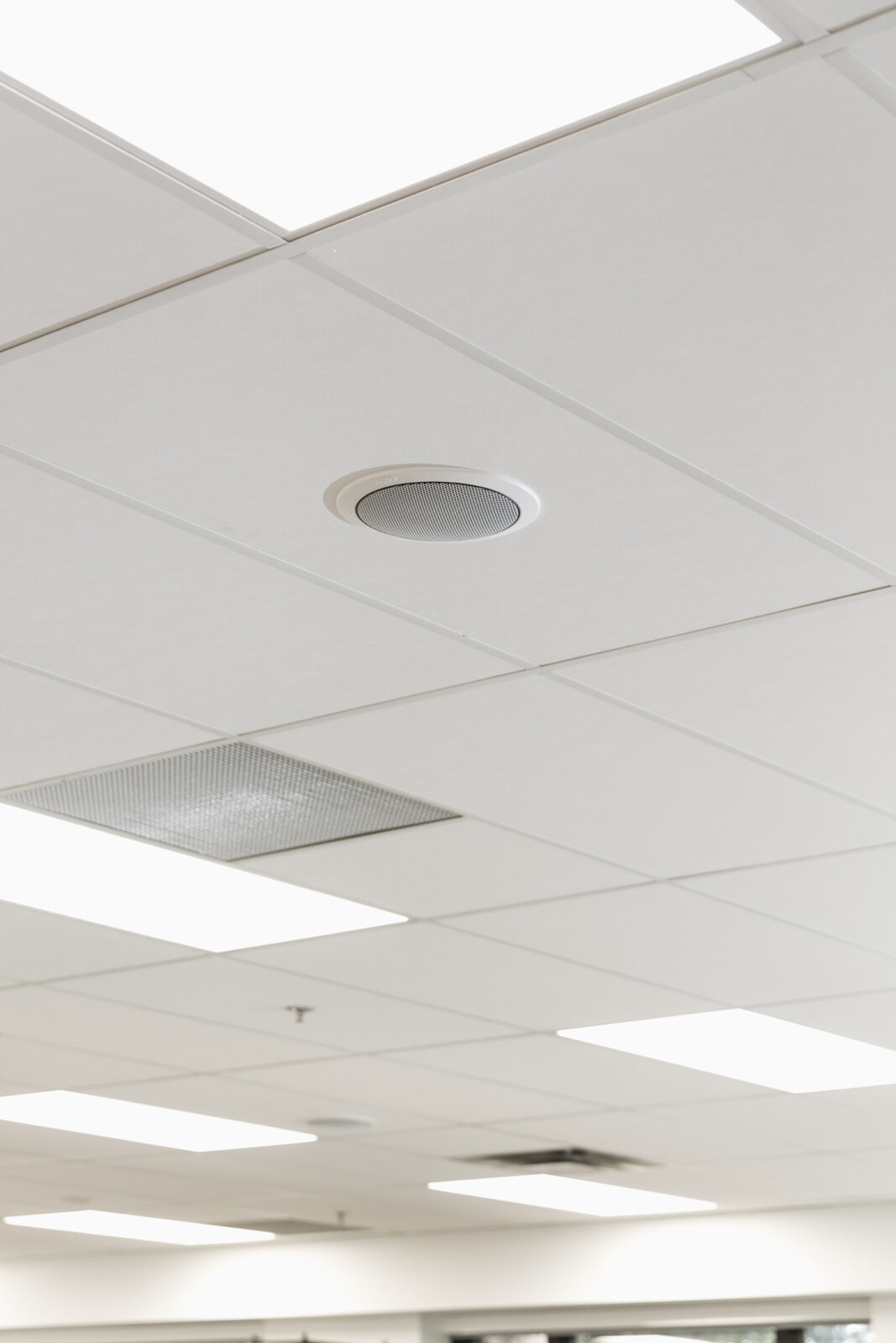 Algo 8189 Wall Mounted Speaker