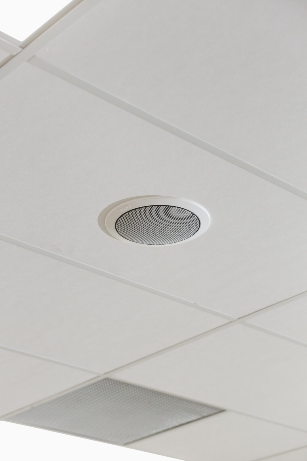 Algo 8188 Ceiling speaker mounted